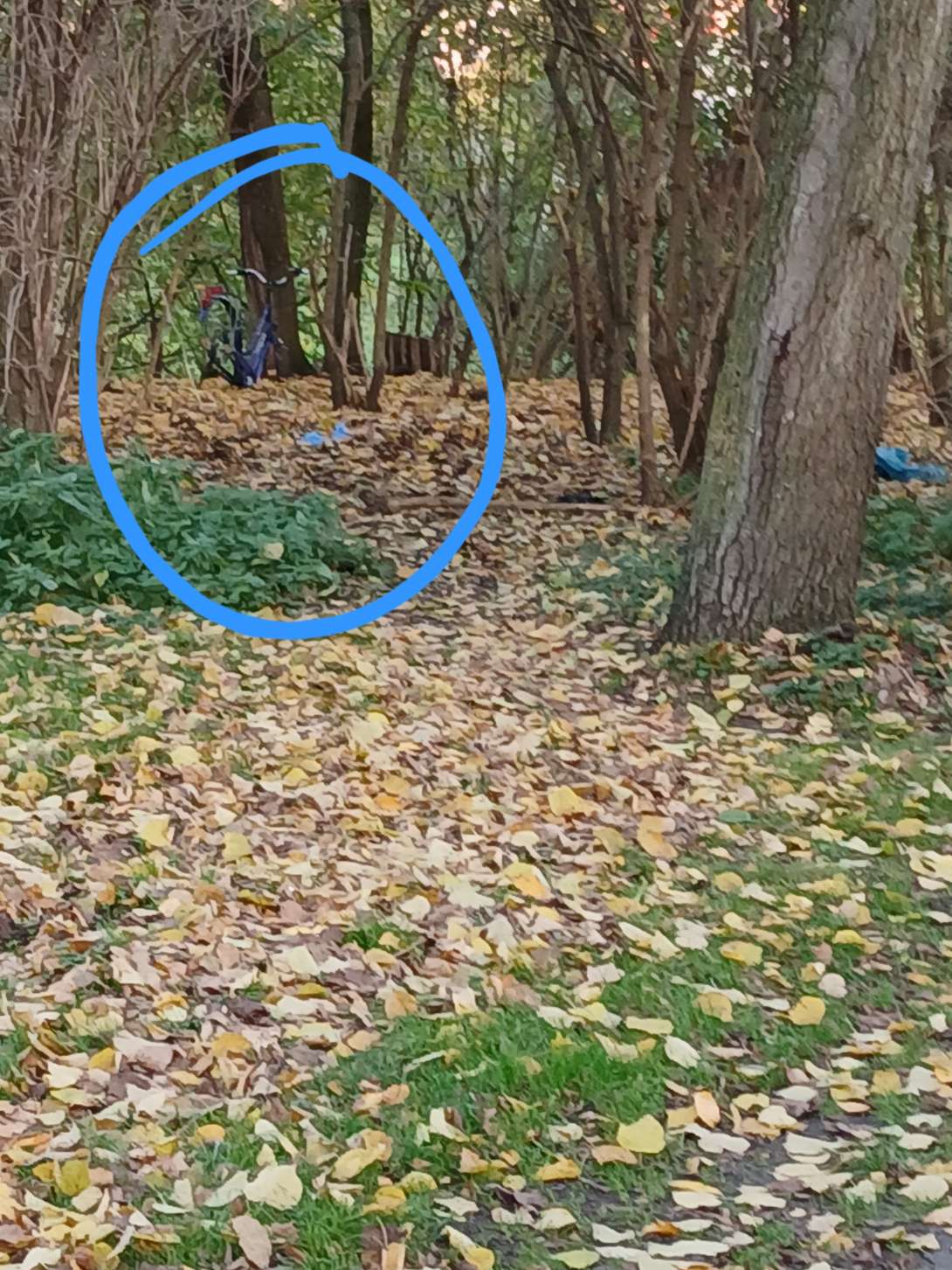 Bild zu gemeldetem Anliegen vom *2025-11-07 09:33:32