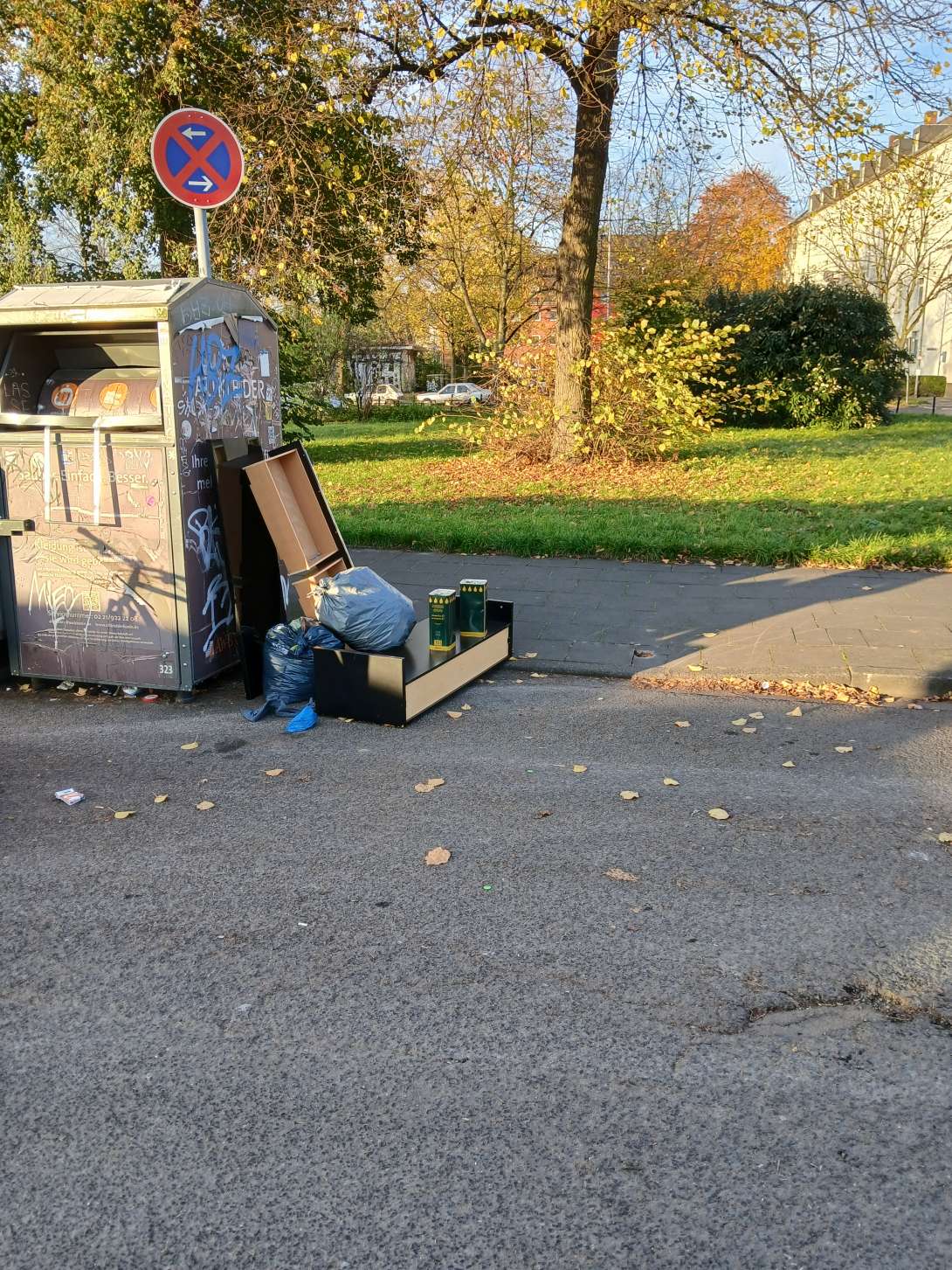 Bild zu gemeldetem Anliegen vom *2025-11-07 09:34:16