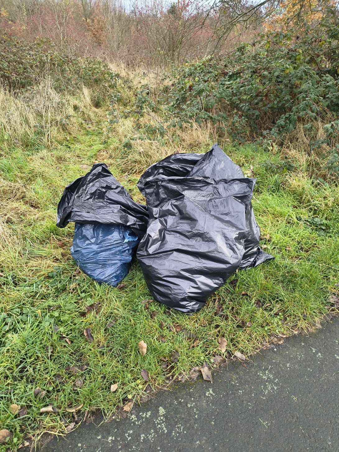 Bild zu gemeldetem Anliegen vom *2025-12-01 11:56:24