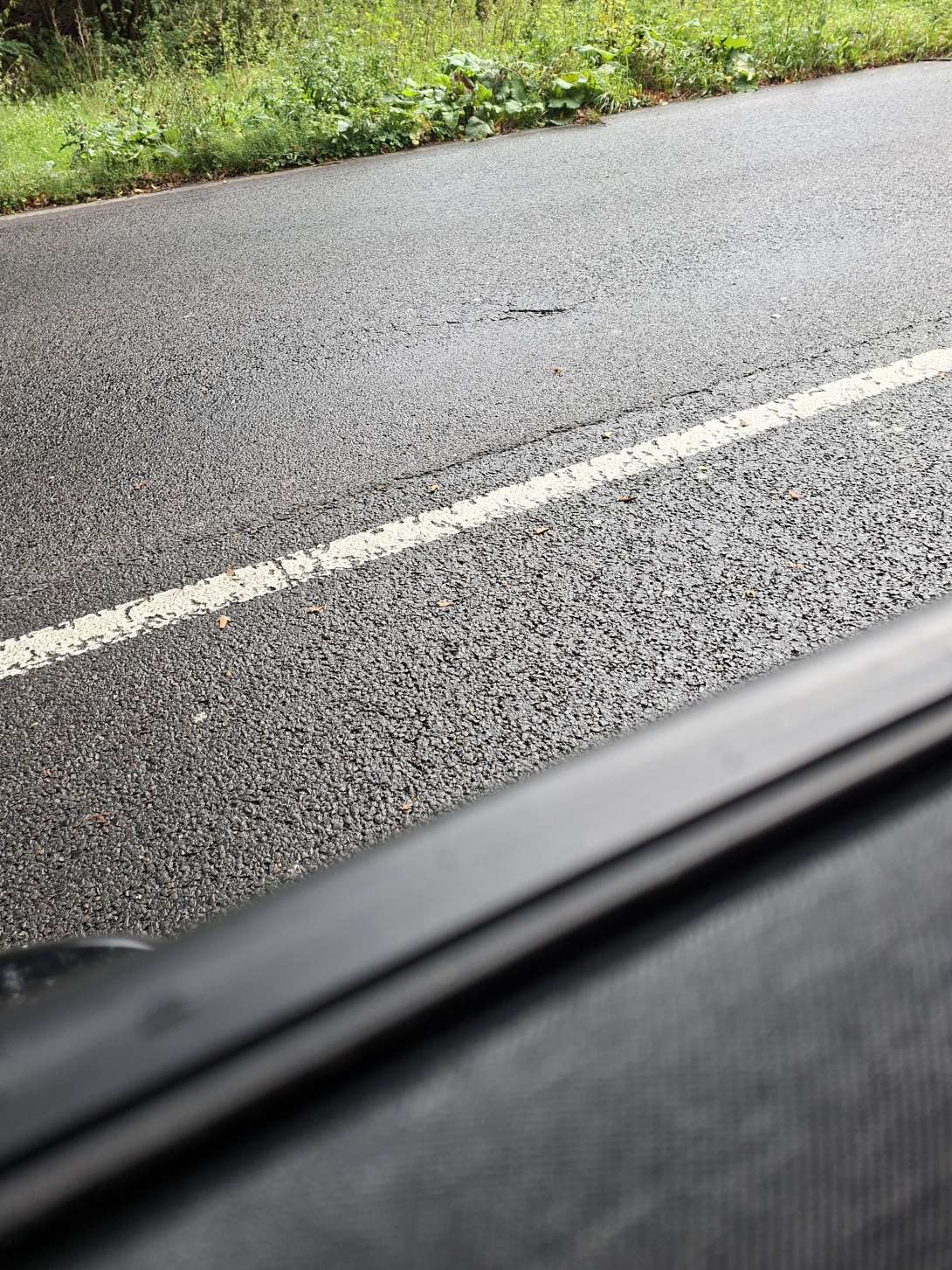 Bild zu gemeldetem Anliegen vom *2025-11-28 13:11:50