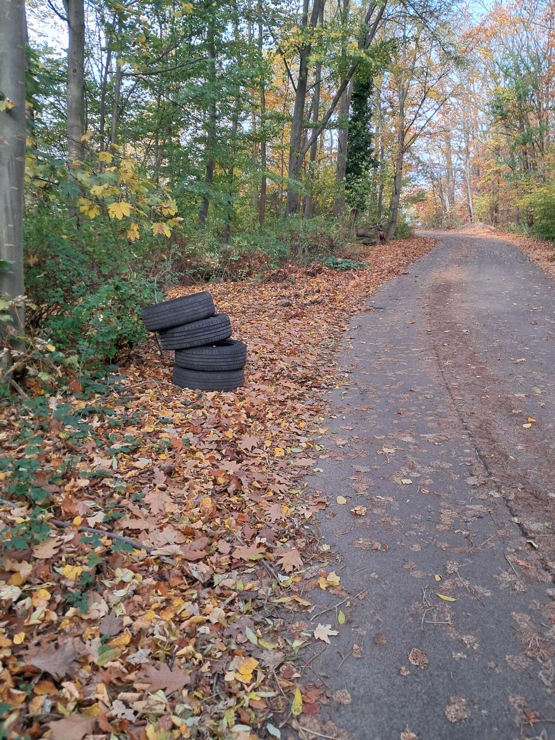 Bild zu gemeldetem Anliegen vom *2025-11-06 13:09:13