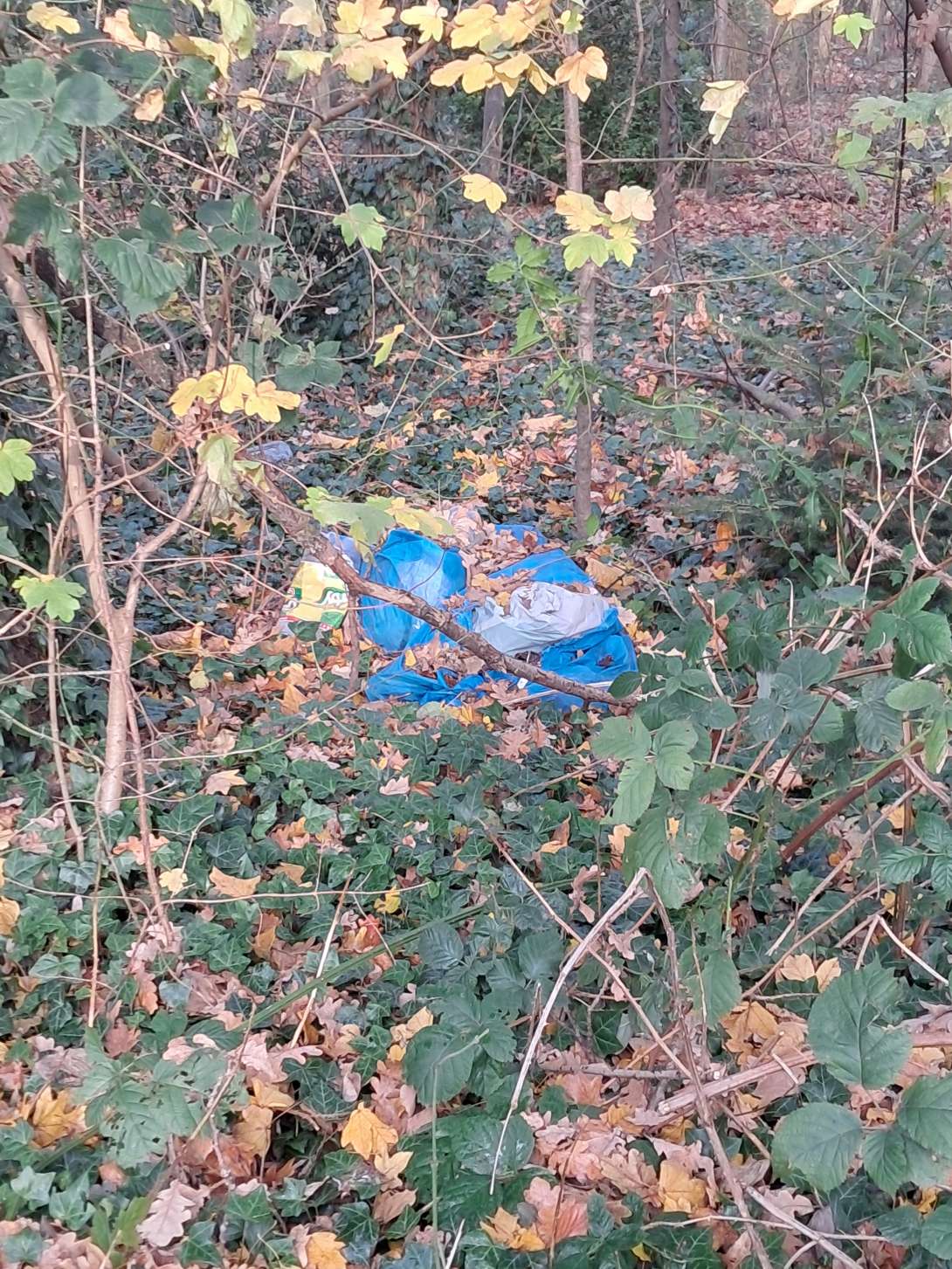 Bild zu gemeldetem Anliegen vom *2025-11-25 20:23:20