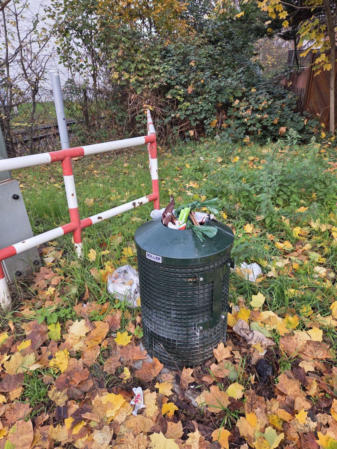 Bild zu gemeldetem Anliegen vom *2025-11-17 10:14:54