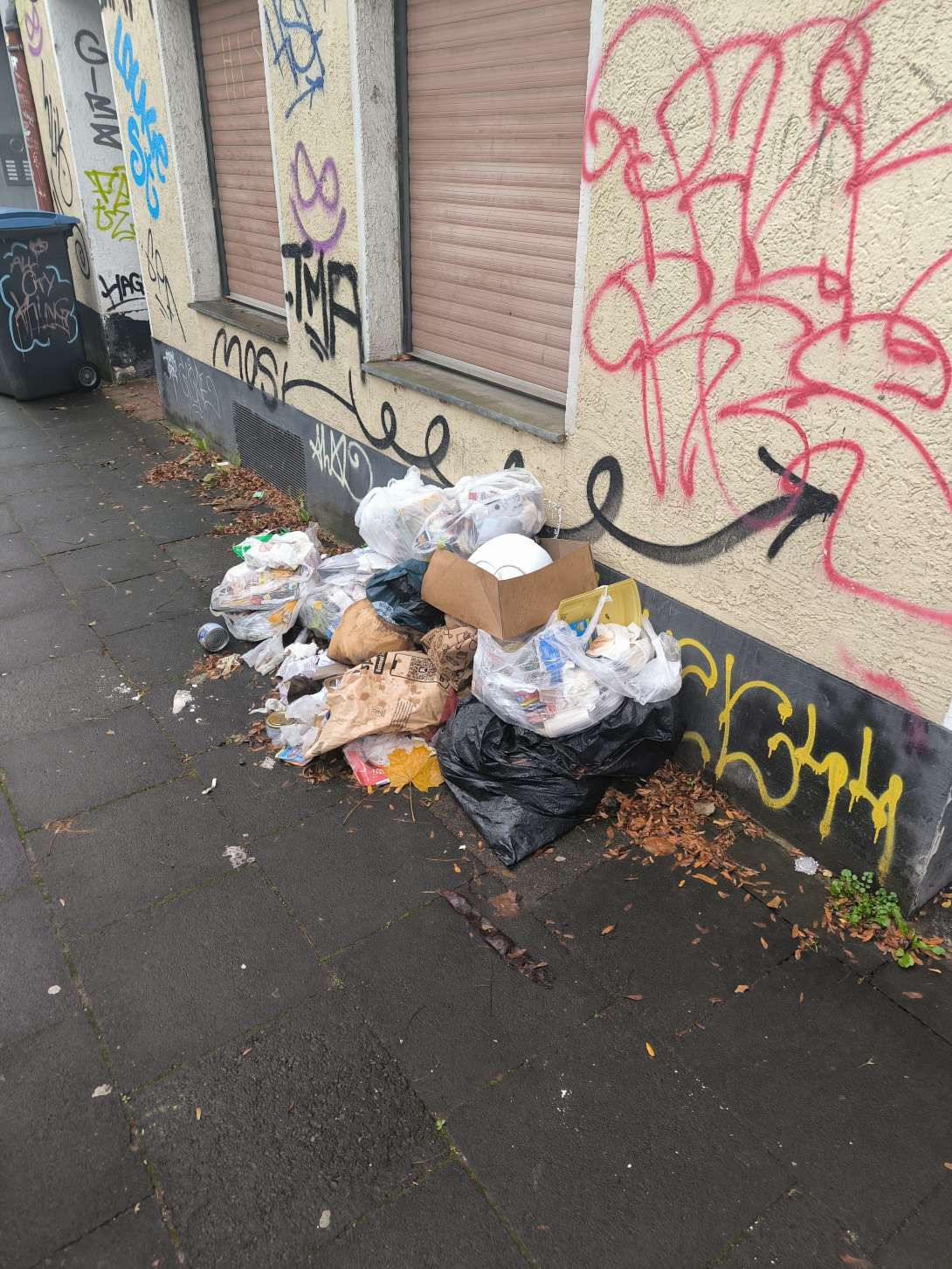 Bild zu gemeldetem Anliegen vom *2025-11-10 10:22:44