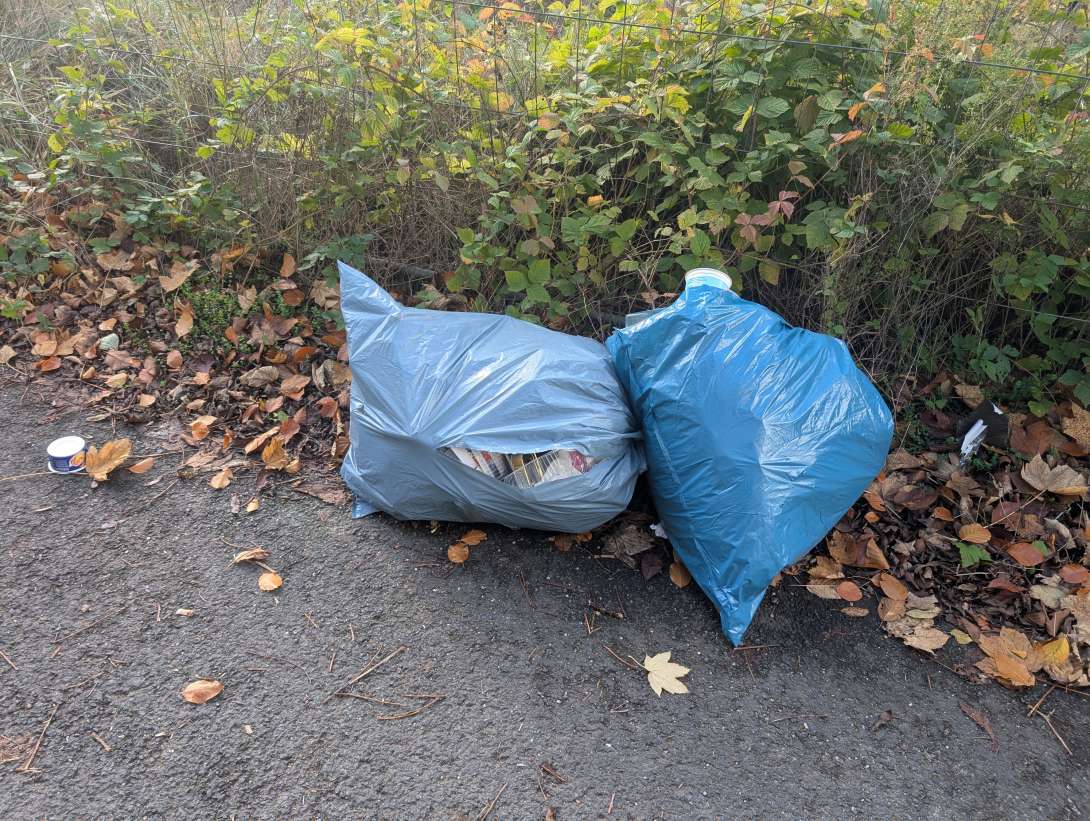 Bild zu gemeldetem Anliegen vom *2025-11-03 11:37:08