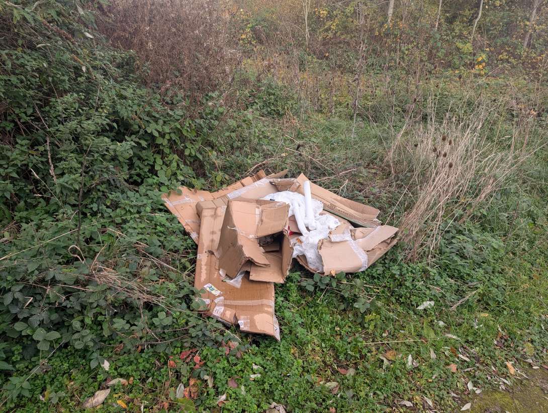 Bild zu gemeldetem Anliegen vom *2025-11-03 11:44:11