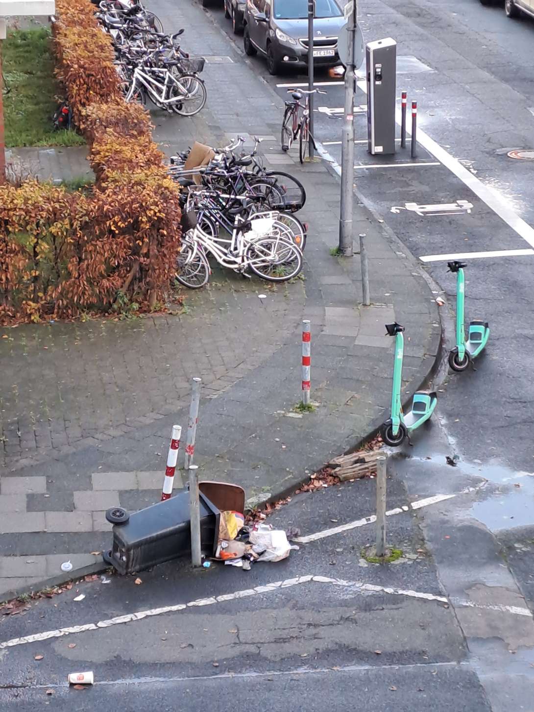 Bild zu gemeldetem Anliegen vom *2025-11-21 11:24:39