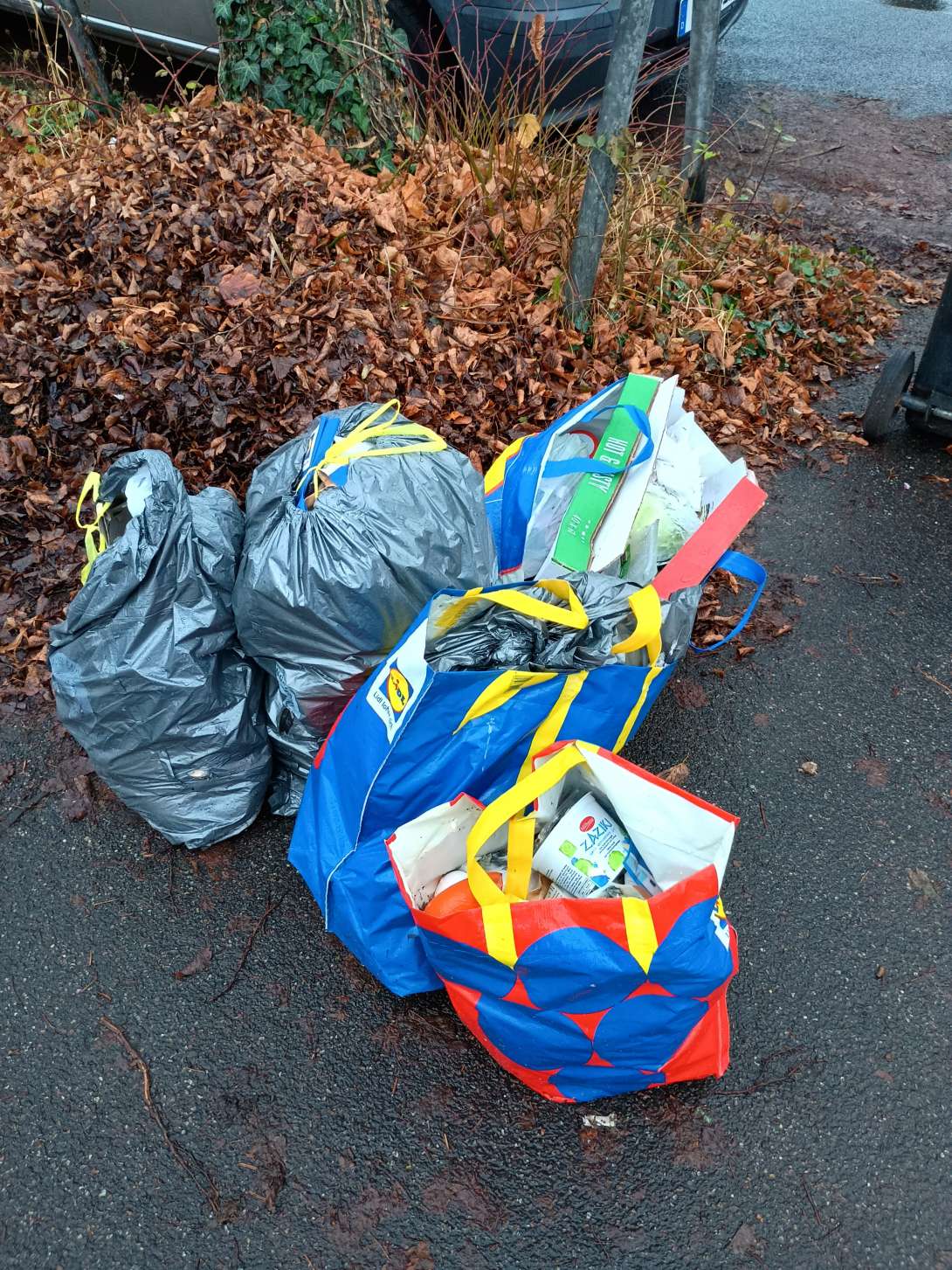 Bild zu gemeldetem Anliegen vom *2025-11-28 08:51:04