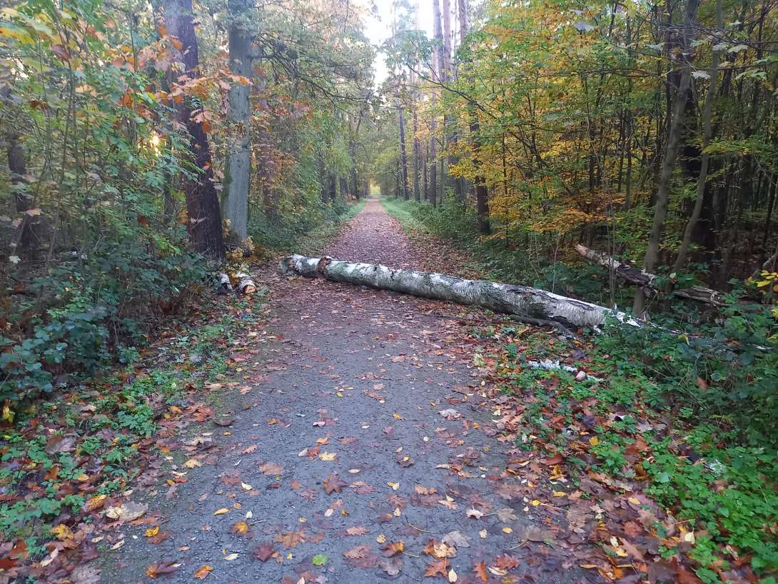 Bild zu gemeldetem Anliegen vom *2025-11-03 23:24:08