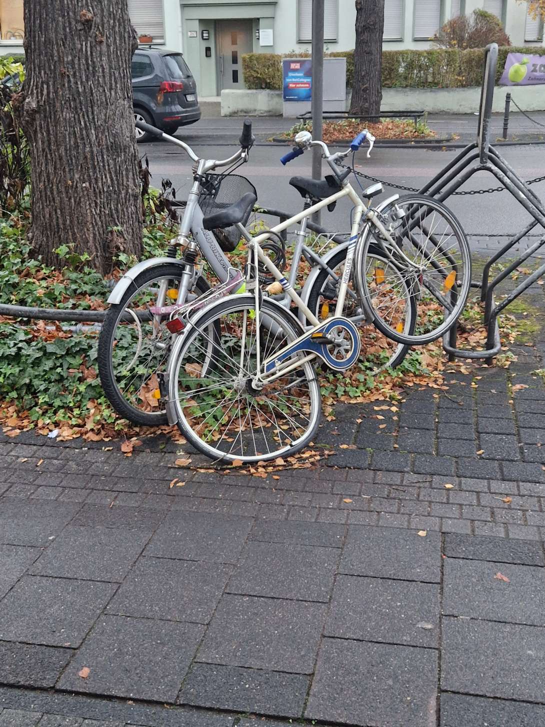 Bild zu gemeldetem Anliegen vom *2025-11-15 09:28:36