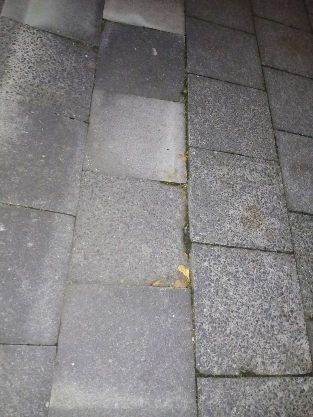 Bild zu gemeldetem Anliegen vom *2025-11-03 22:24:52