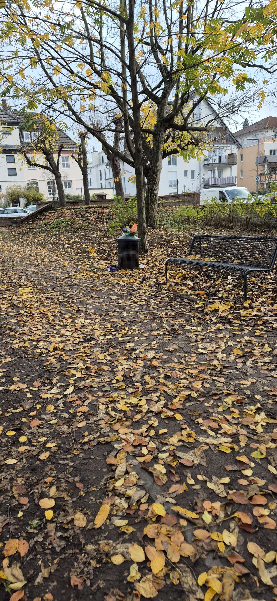 Bild zu gemeldetem Anliegen vom *2025-11-19 09:41:55