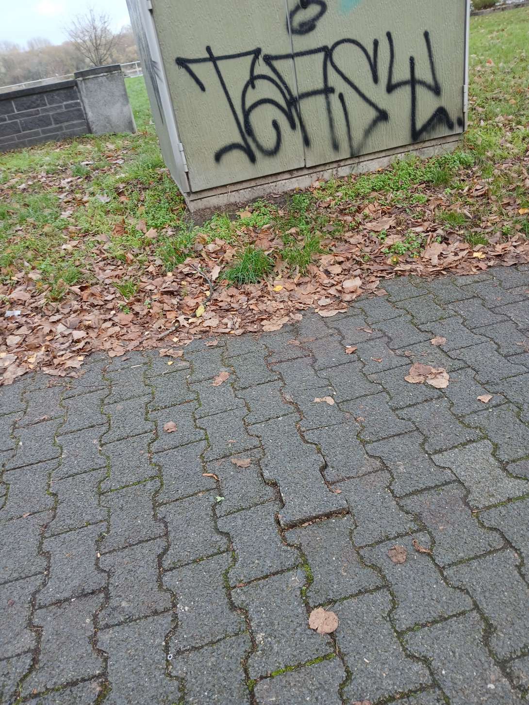 Bild zu gemeldetem Anliegen vom *2025-11-18 15:04:00