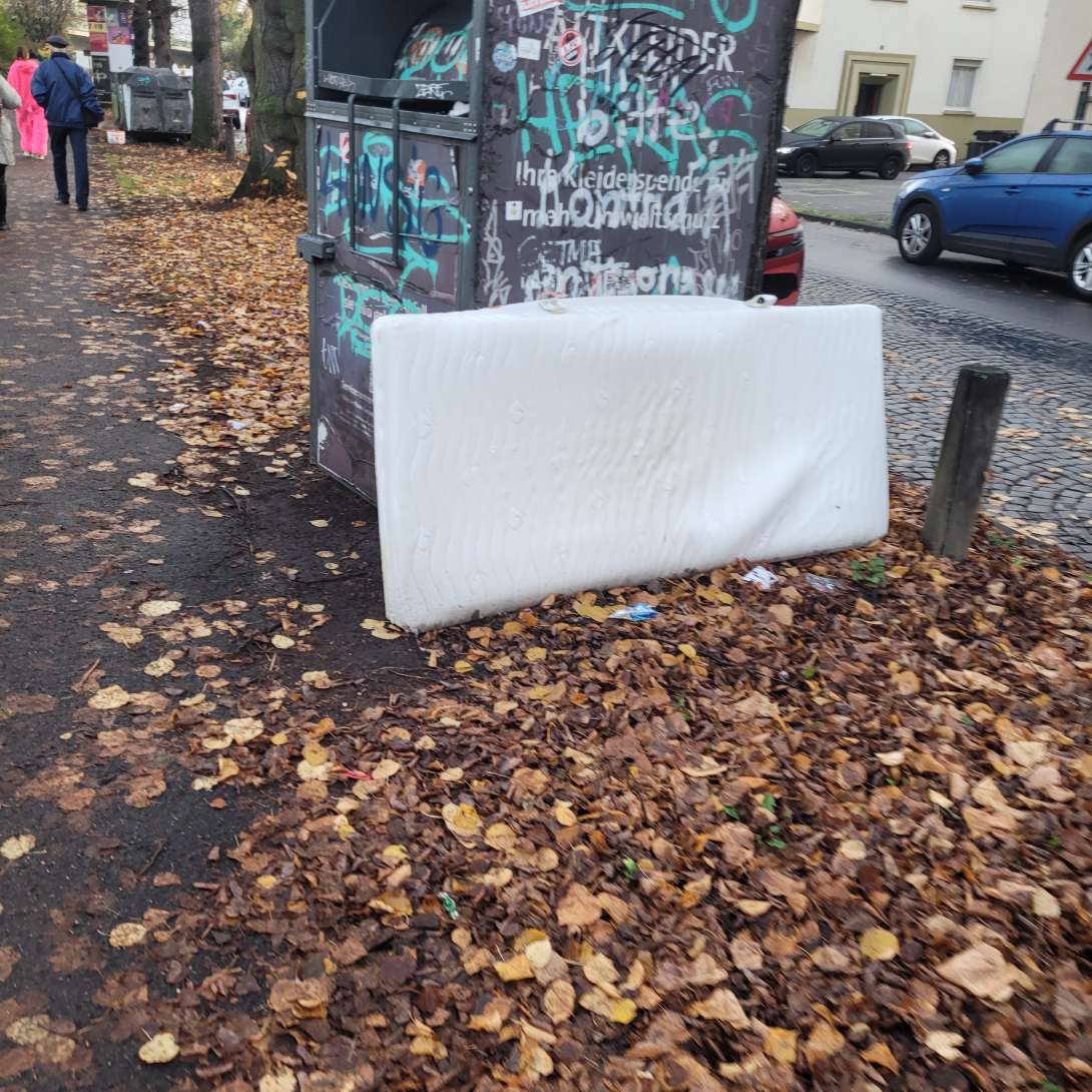 Bild zu gemeldetem Anliegen vom *2025-11-11 09:44:33