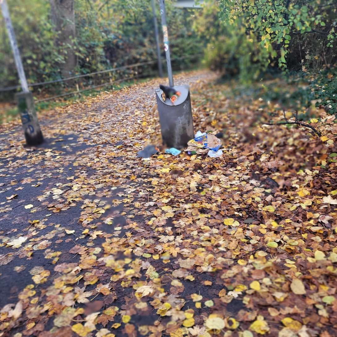 Bild zu gemeldetem Anliegen vom *2025-11-11 10:02:00