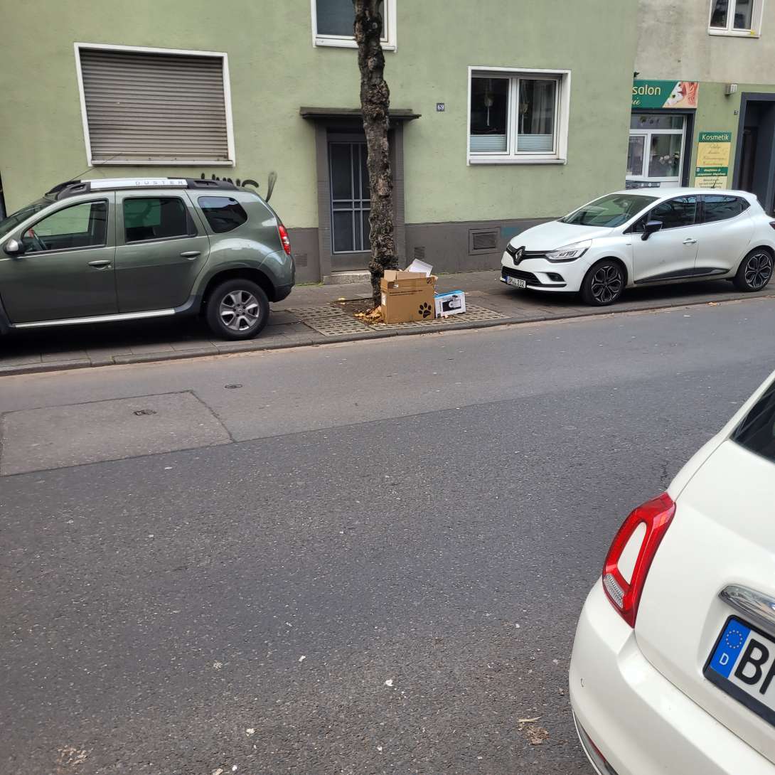 Bild zu gemeldetem Anliegen vom *2025-11-27 18:31:13