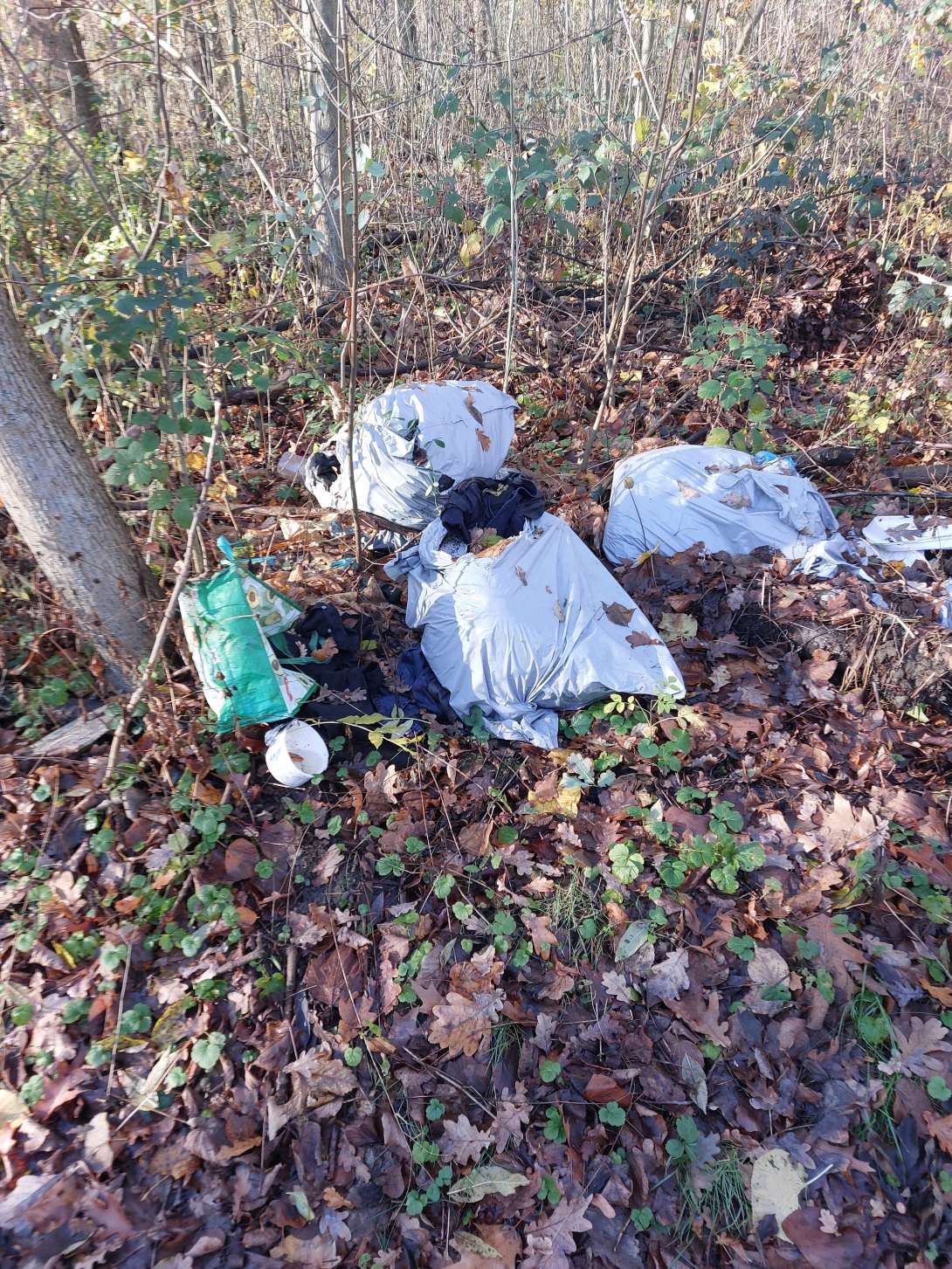 Bild zu gemeldetem Anliegen vom *2025-11-25 09:39:49