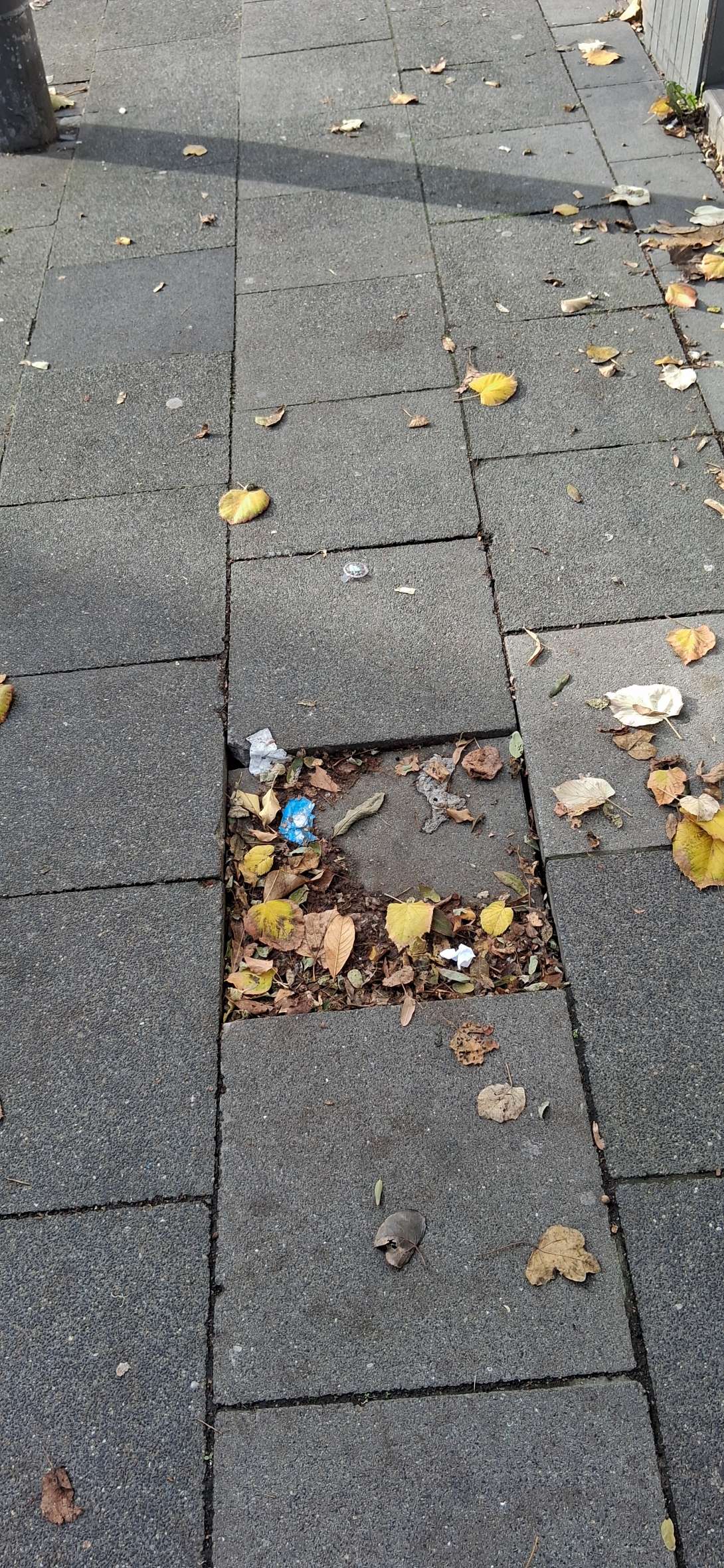 Bild zu gemeldetem Anliegen vom *2025-11-07 16:25:55