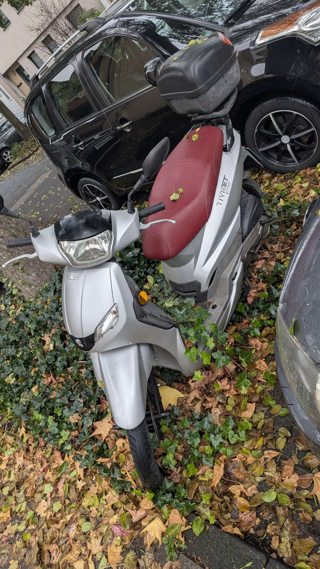 Bild zu gemeldetem Anliegen vom *2025-11-09 18:30:31