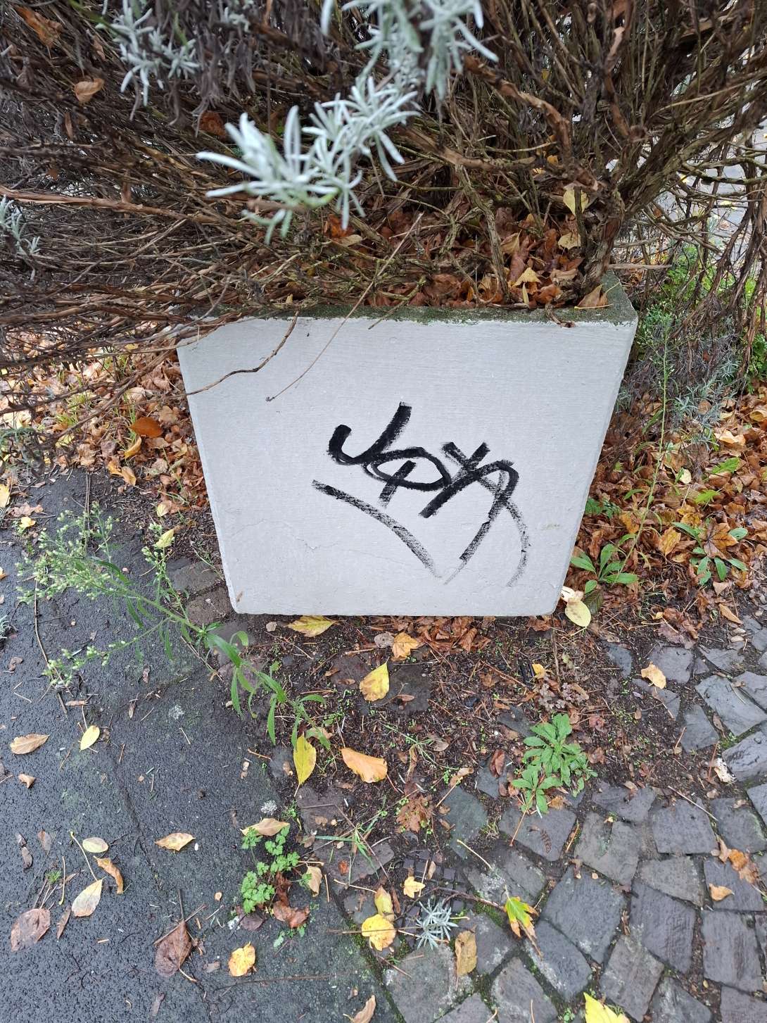 Bild zu gemeldetem Anliegen vom *2025-11-01 14:33:04