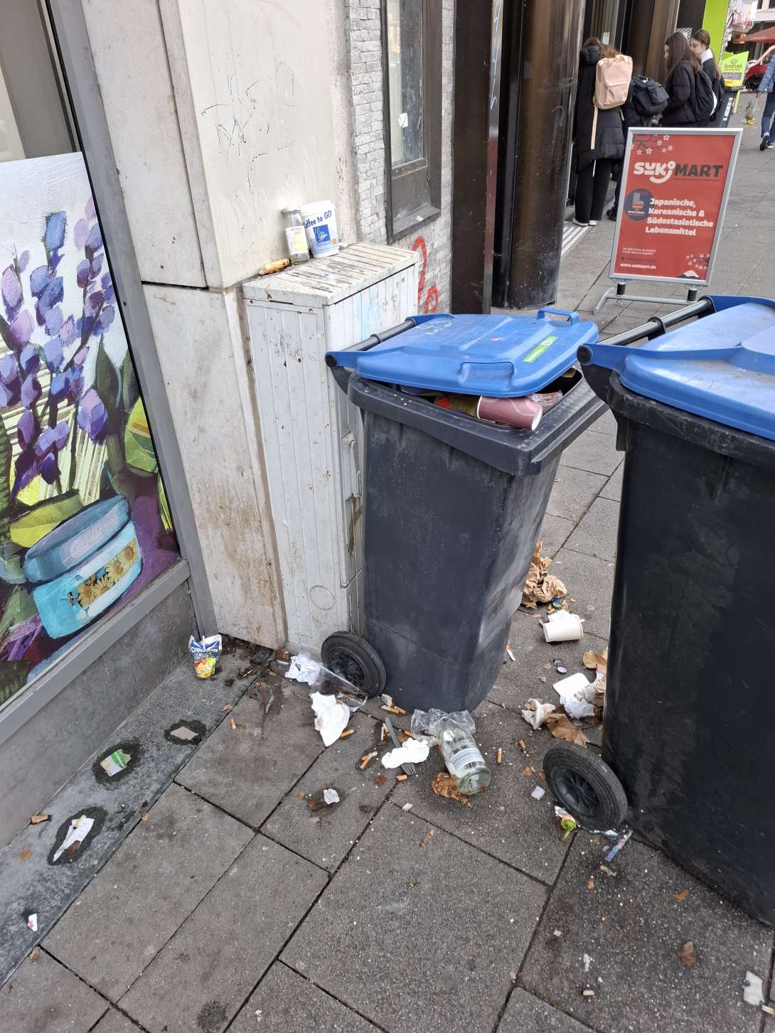 Bild zu gemeldetem Anliegen vom *2025-11-12 13:13:09