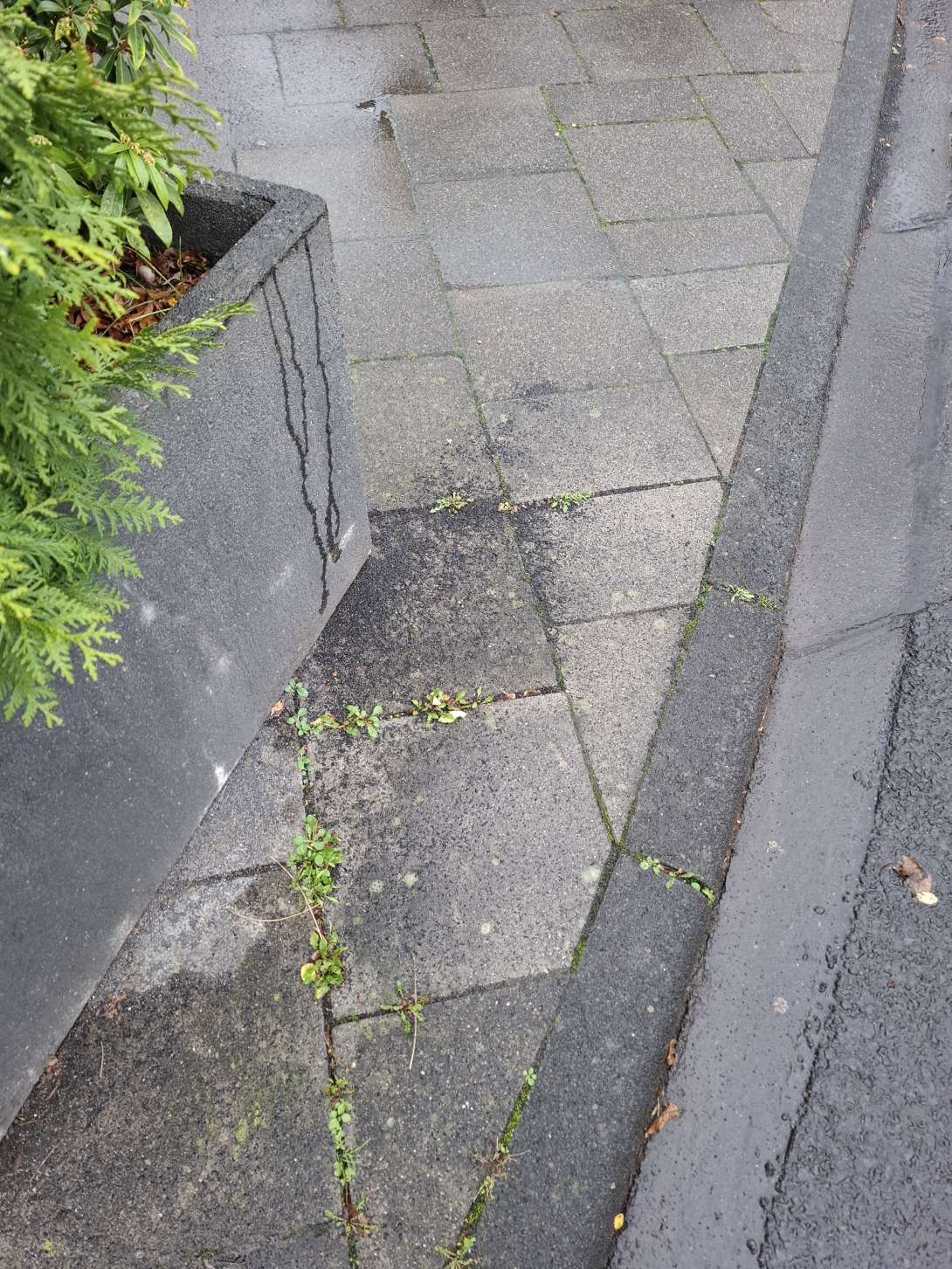 Bild zu gemeldetem Anliegen vom *2025-11-19 14:56:18