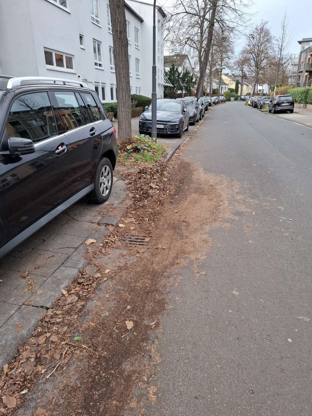 Bild zu gemeldetem Anliegen vom *2025-11-23 12:35:59