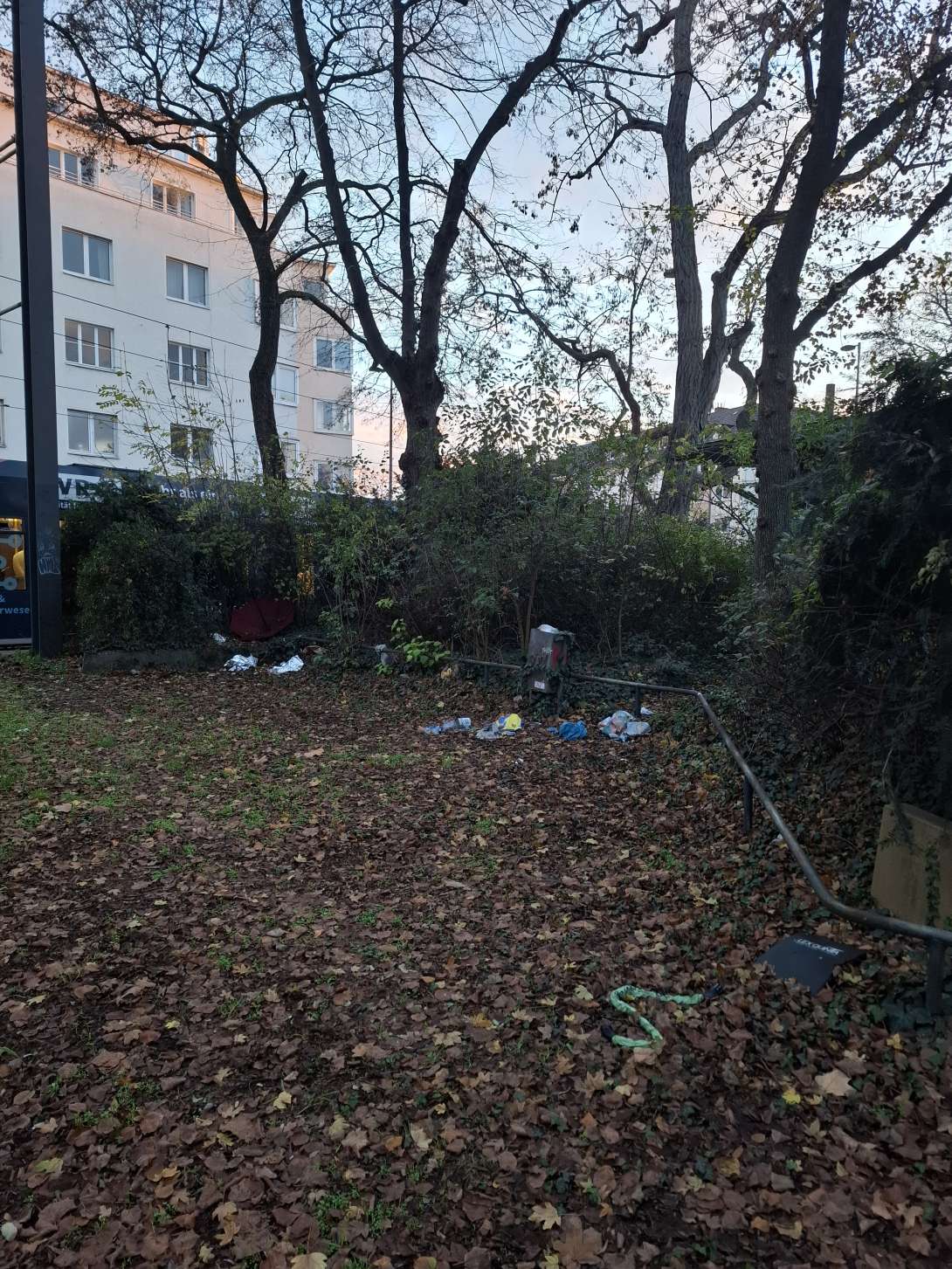 Bild zu gemeldetem Anliegen vom *2025-11-24 16:46:38