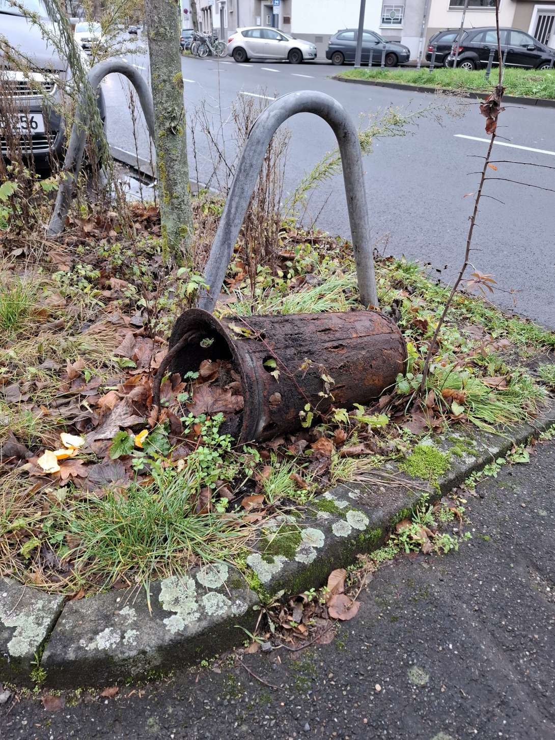 Bild zu gemeldetem Anliegen vom *2025-12-01 11:24:33