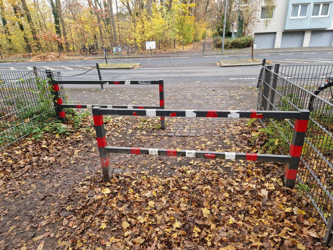 Bild zu gemeldetem Anliegen vom *2025-11-15 15:16:24