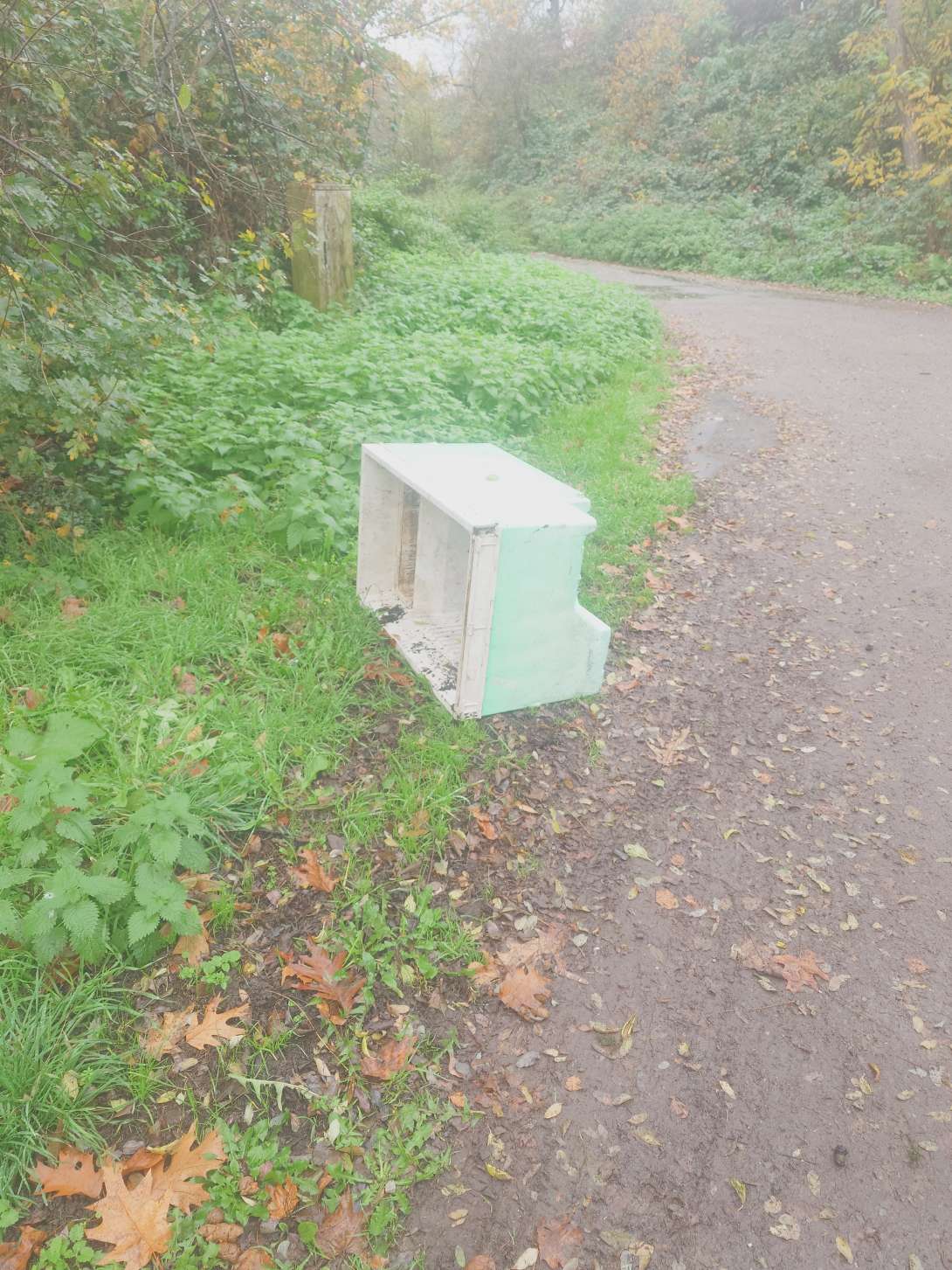 Bild zu gemeldetem Anliegen vom *2025-11-10 10:15:53