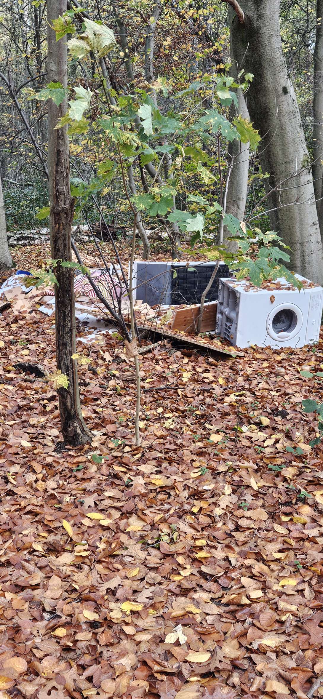 Bild zu gemeldetem Anliegen vom *2025-11-04 08:27:42