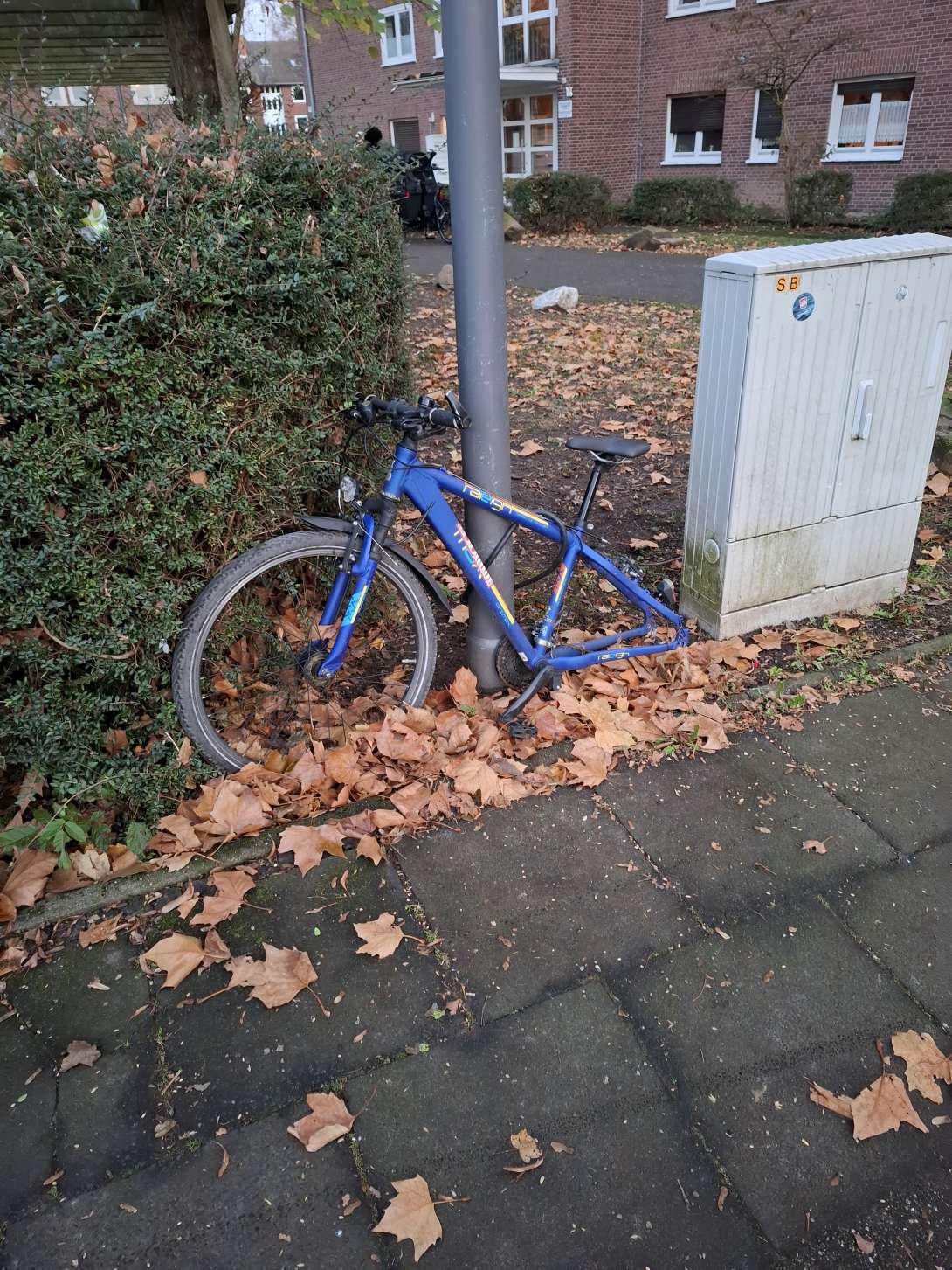 Bild zu gemeldetem Anliegen vom *2025-11-24 15:27:32