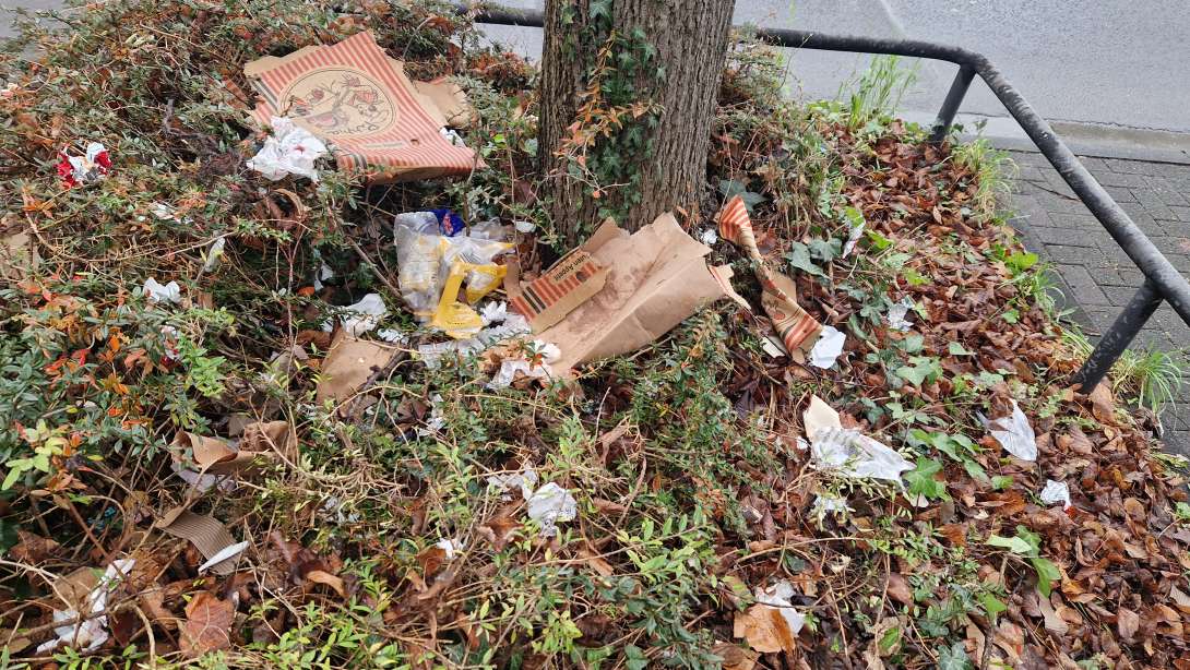 Bild zu gemeldetem Anliegen vom *2025-12-01 11:29:23