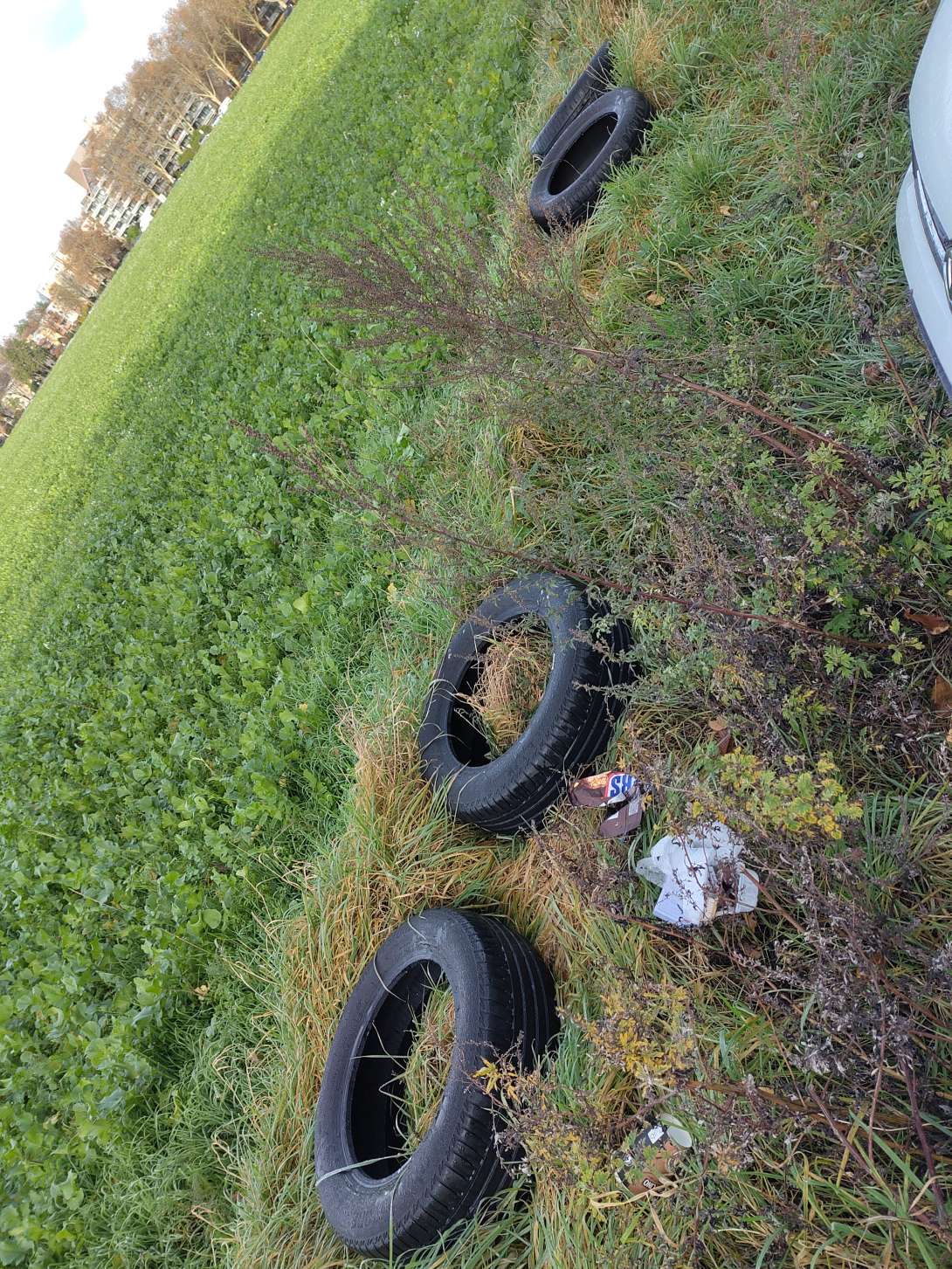 Bild zu gemeldetem Anliegen vom *2025-11-16 16:44:32