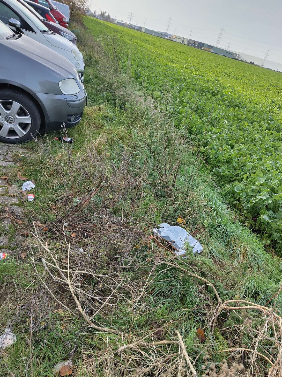 Bild zu gemeldetem Anliegen vom *2025-11-17 12:43:23