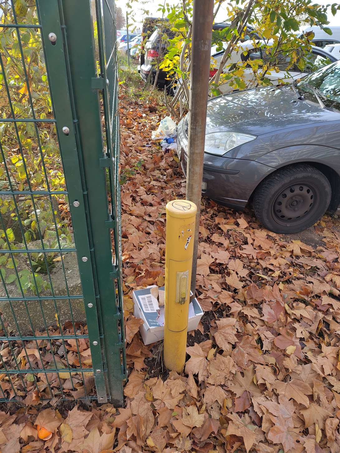 Bild zu gemeldetem Anliegen vom *2025-11-17 10:34:49