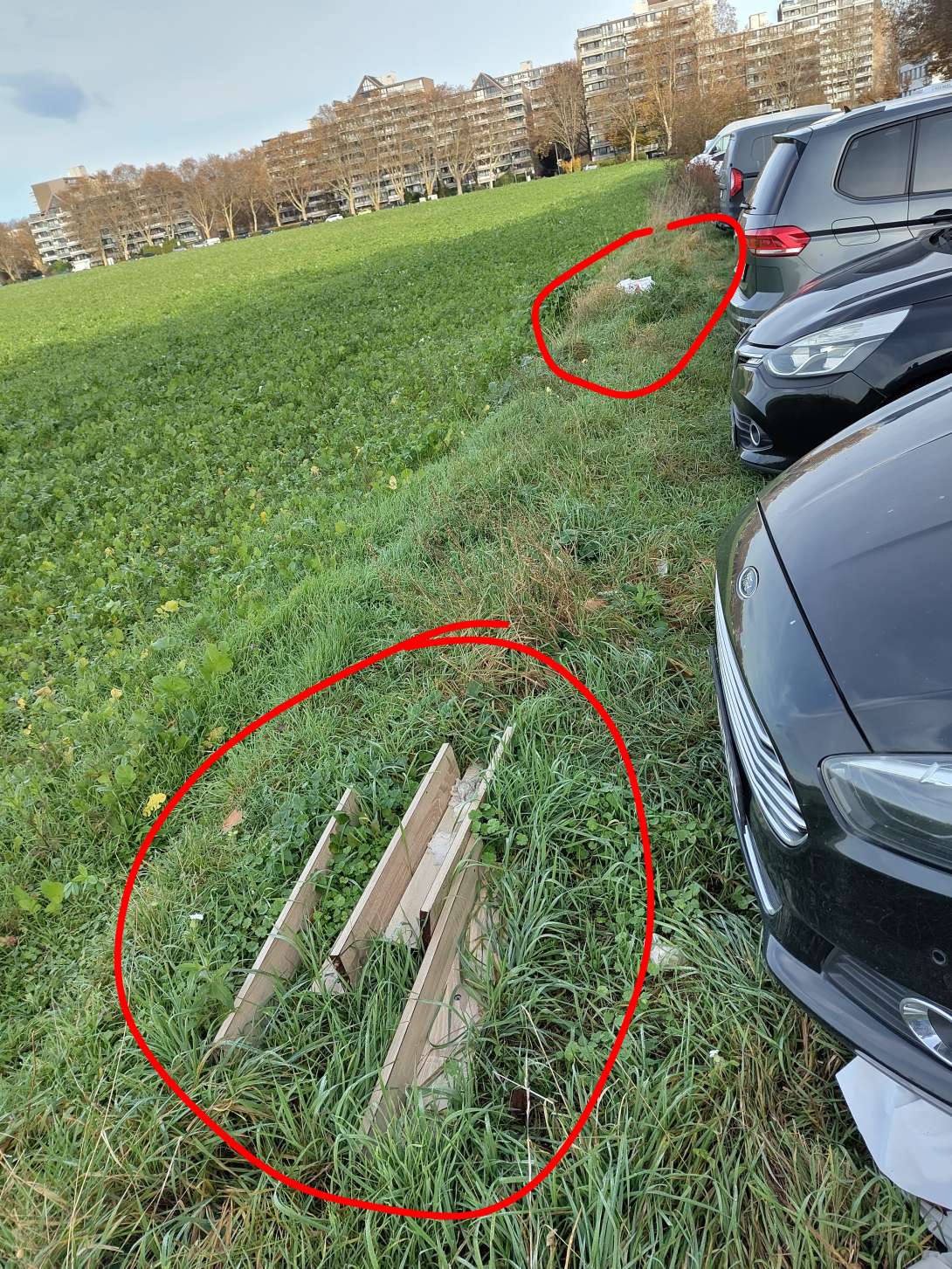 Bild zu gemeldetem Anliegen vom *2025-11-16 16:47:32