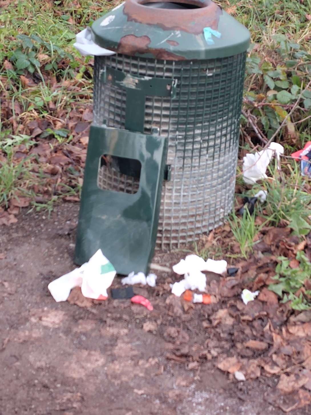 Bild zu gemeldetem Anliegen vom *2025-11-24 13:59:37