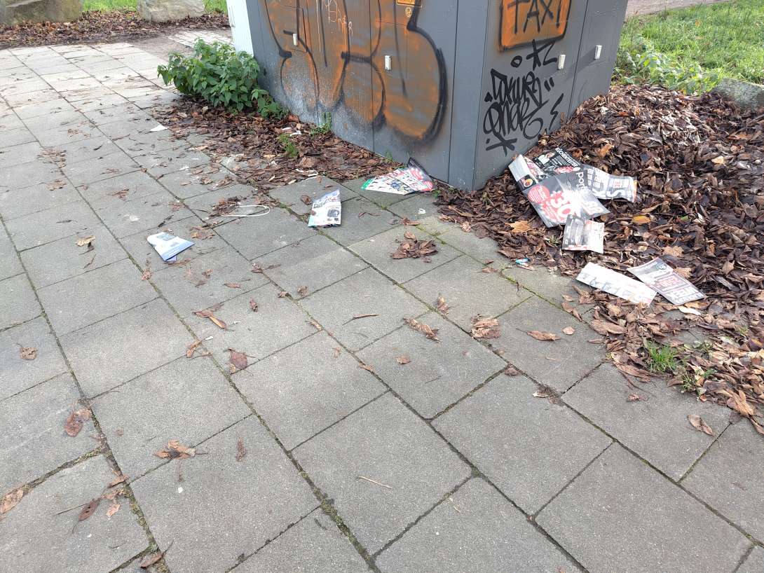 Bild zu gemeldetem Anliegen vom *2025-11-24 14:01:38