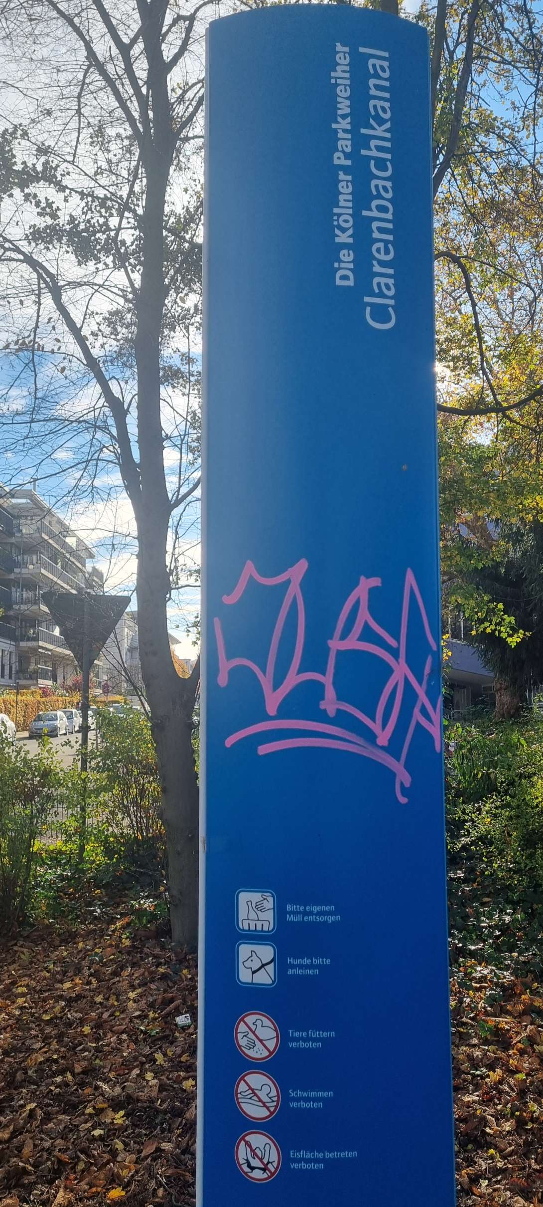 Bild zu gemeldetem Anliegen vom *2025-11-10 12:34:58