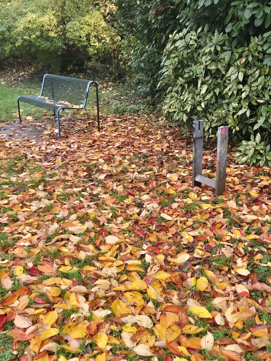 Bild zu gemeldetem Anliegen vom *2025-11-10 11:09:38