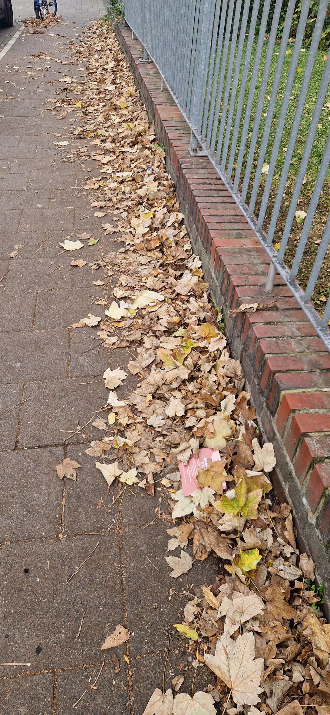 Bild zu gemeldetem Anliegen vom *2025-11-13 12:41:51