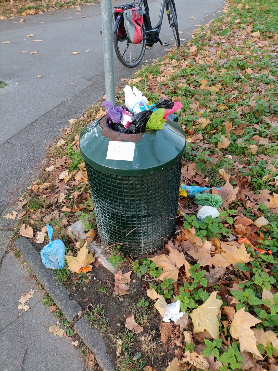 Bild zu gemeldetem Anliegen vom *2025-11-10 08:15:12