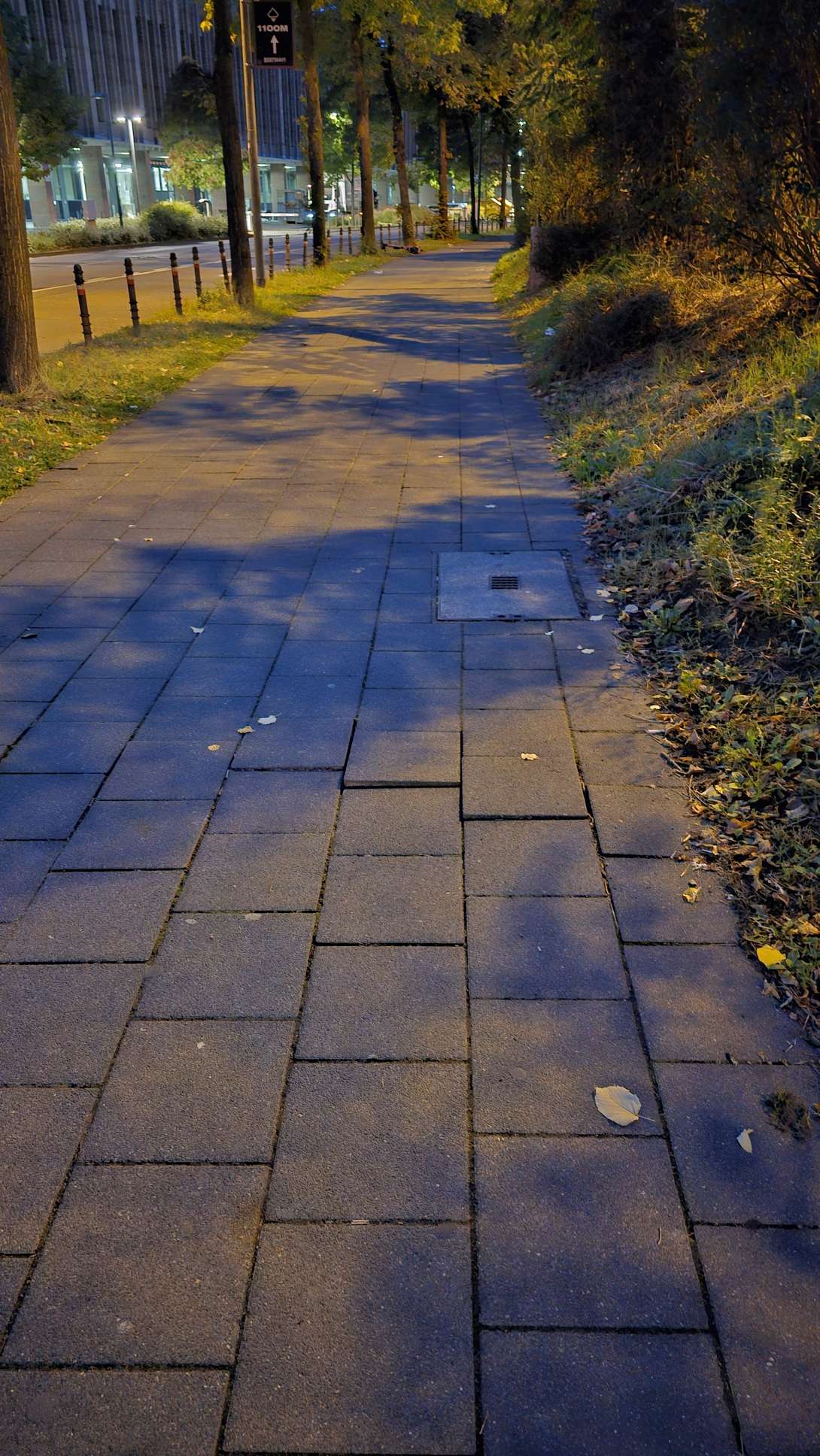 Bild zu gemeldetem Anliegen vom *2025-11-05 07:28:57