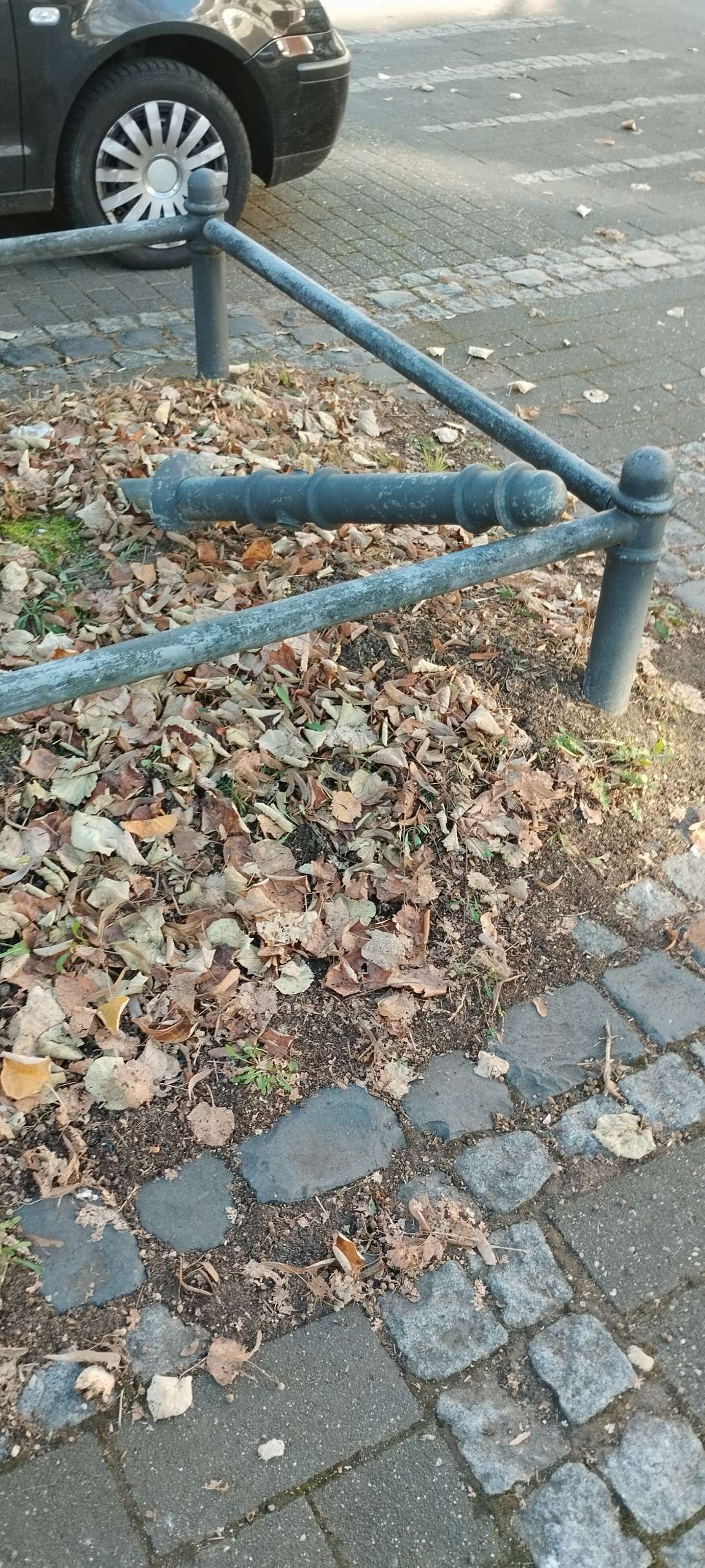 Bild zu gemeldetem Anliegen vom *2025-11-23 13:10:20