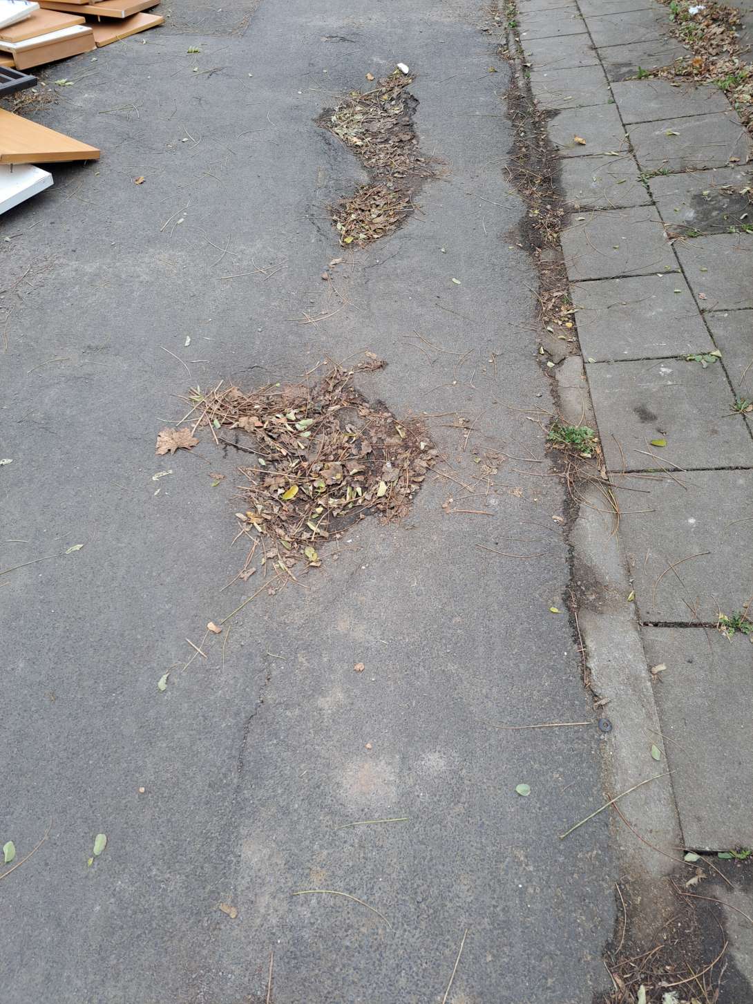 Bild zu gemeldetem Anliegen vom *2025-11-14 10:32:24