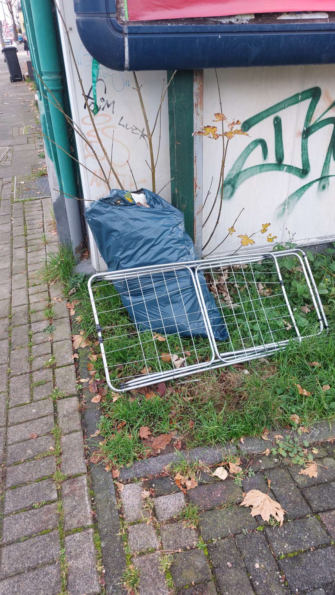 Bild zu gemeldetem Anliegen vom *2025-11-13 09:27:48