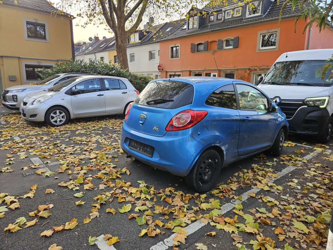 Bild zu gemeldetem Anliegen vom *2025-11-05 09:27:17