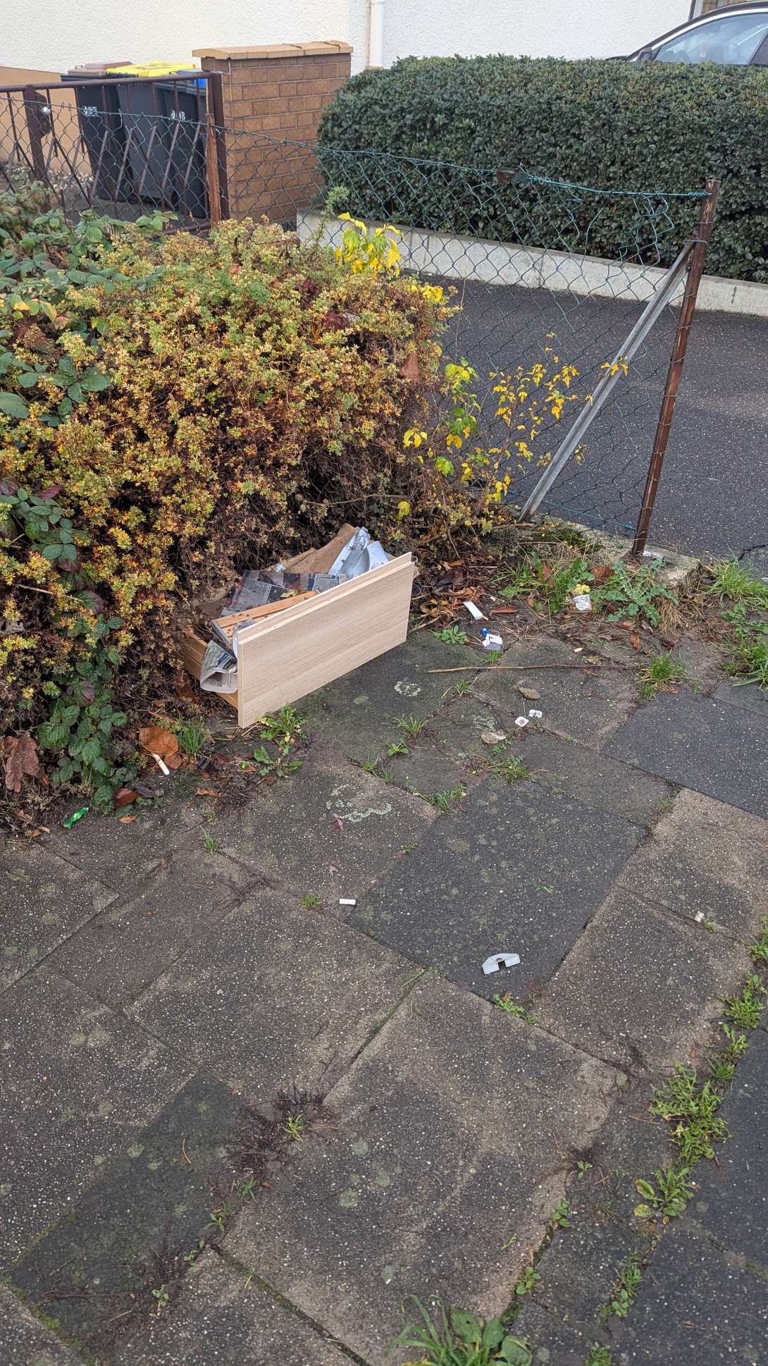 Bild zu gemeldetem Anliegen vom *2025-11-17 14:24:11